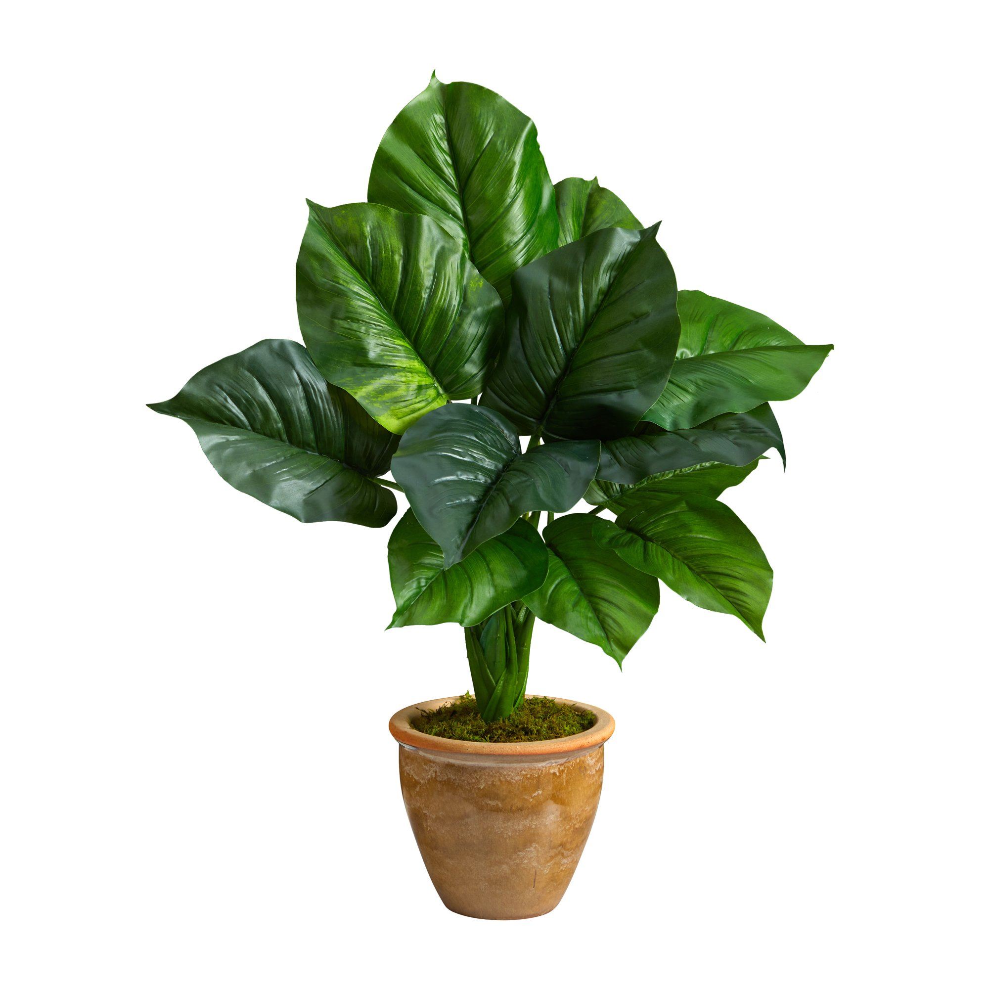 dieffenbachia and philodendron planted together Nearly Natural 30in. Large Philodendron Leaf Artificial Plant in Decorative Planter