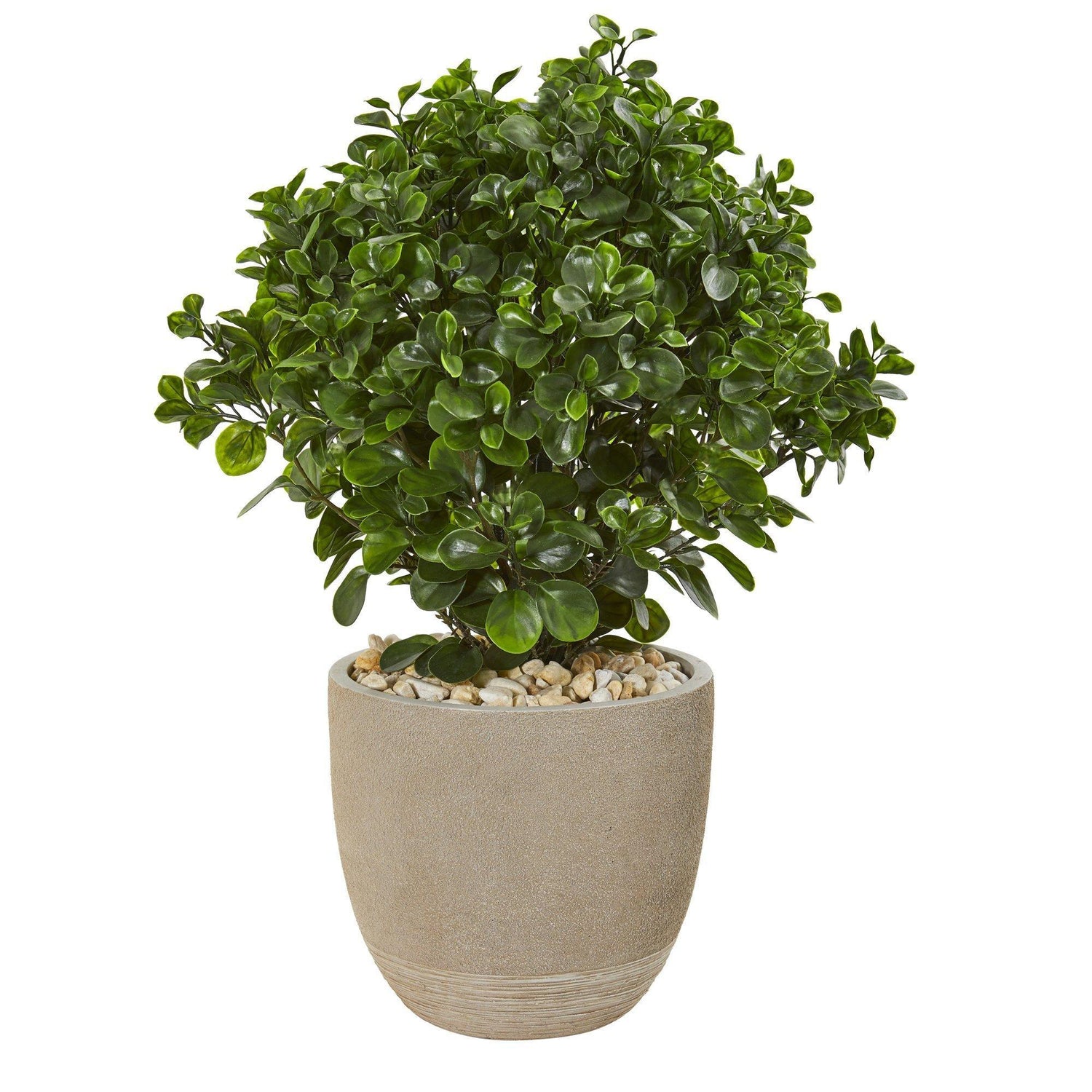30” Peperomia Artificial Plant in Sand Stone Planter (Indoor/Outdoor)