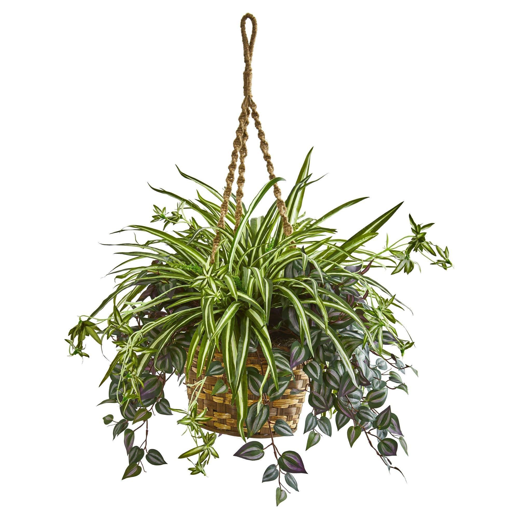 succulent wandering jew Nearly Natural 30in. Wandering Jew & Spider Artificial Plant in Hanging Basket