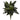 32” Green Cordyline Artificial Plant (Set of 3)3)
