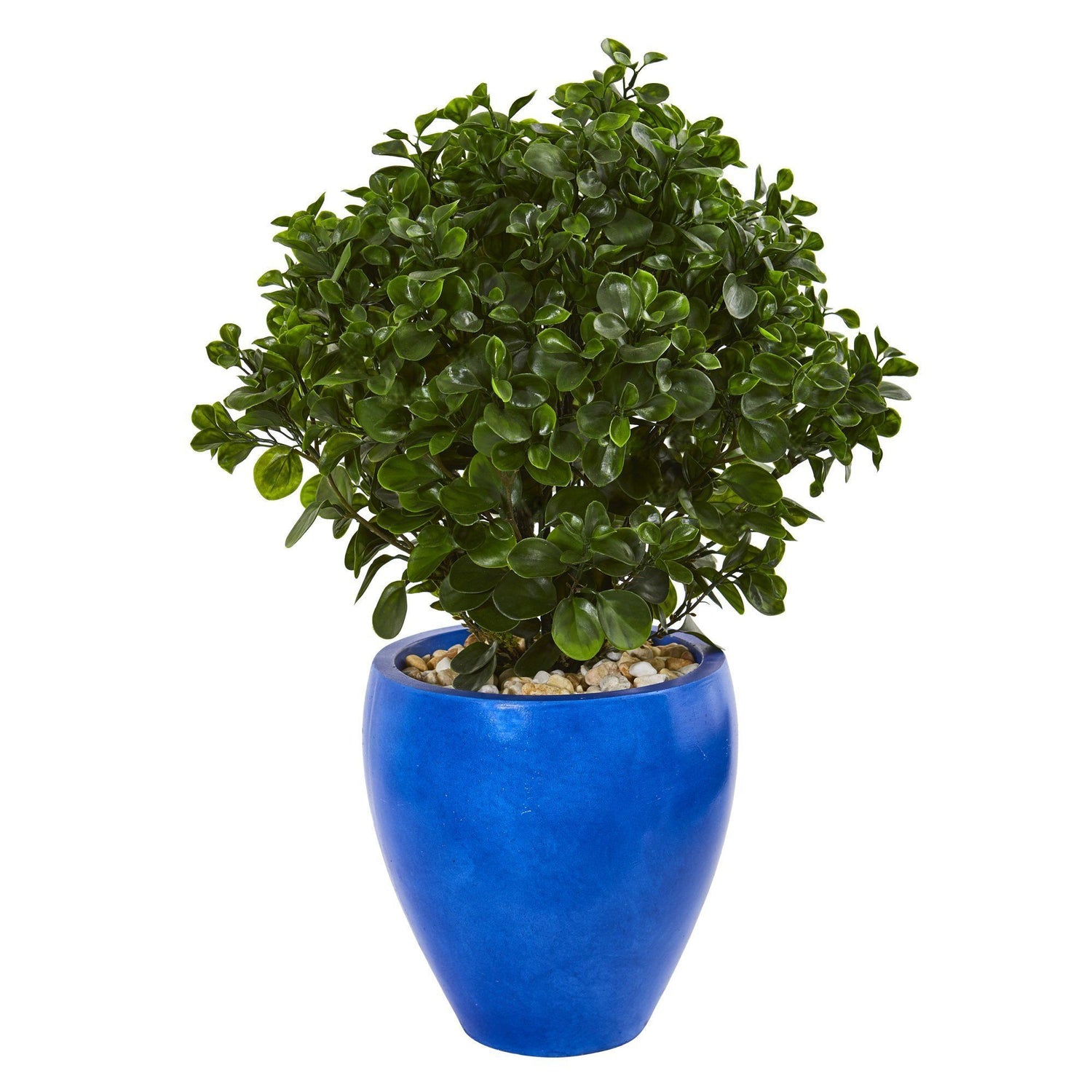 32” Peperomia Artificial Plant in Blue Planter(Indoor/Outdoor)