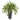 33’’ Spider Artificial Plant in Cylinder Planter