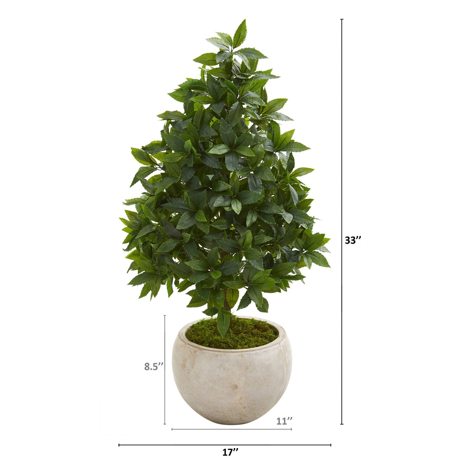 33” Sweet Bay Cone Topiary Artificial Tree in Sand Colored Planter
