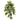 34” Nepthytis Hanging Artificial Plant (Set of 3)