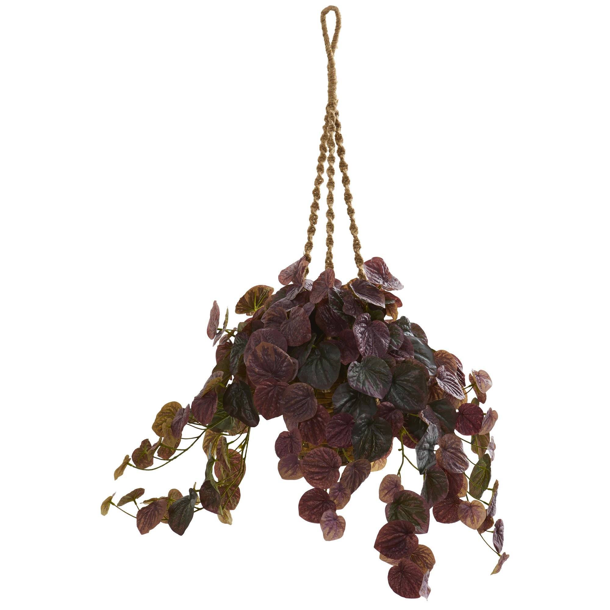 burgundy hanging plant 34” Peperomia Artificial Plant in Hanging Basket (Real Touch) 8579 Nearly Natural