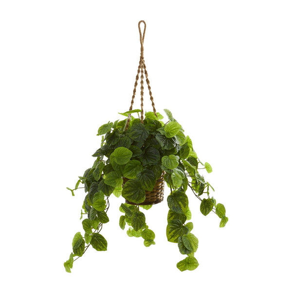 34” Peperomia Artificial Plant in Hanging Basket (Real Touch)