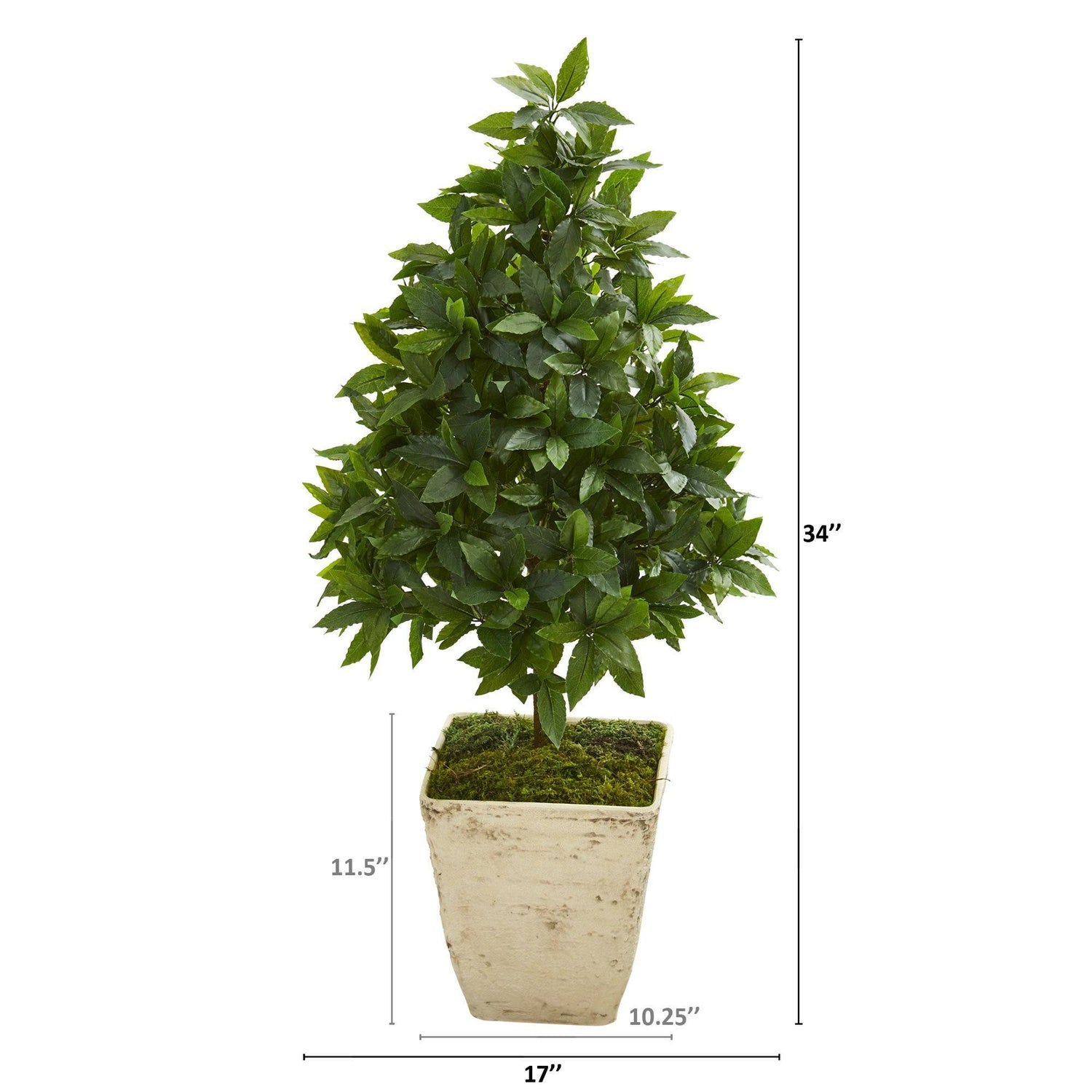 34” Sweet Bay Cone Topiary Artificial Tree in Country White Planter