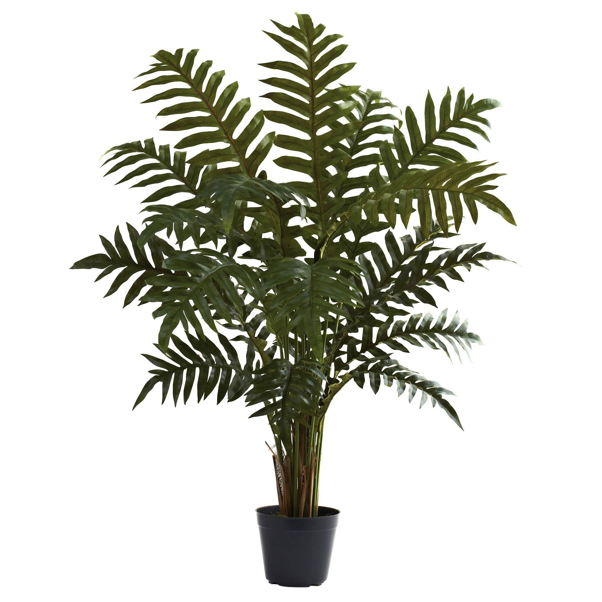 evergreen palm plants Nearly Natural 3.5-ft Evergreen Plant