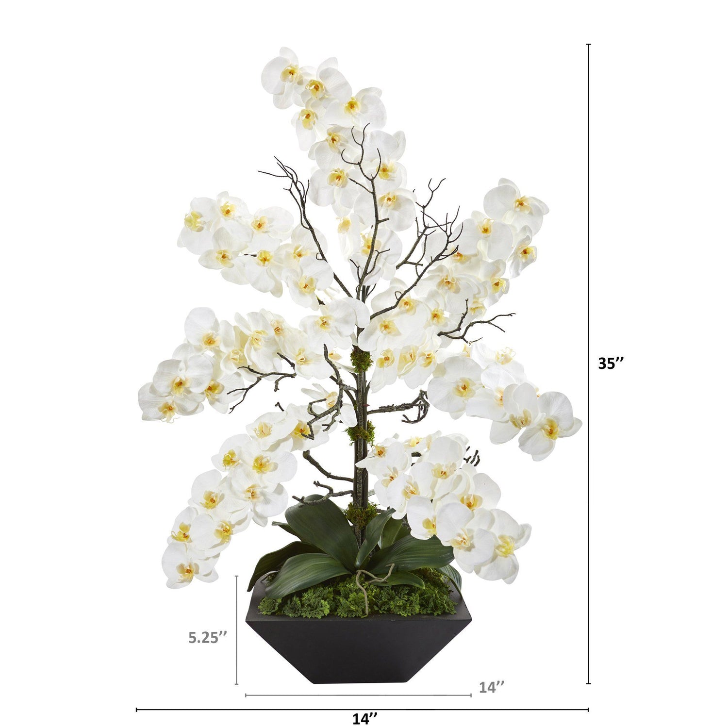 35” Mixed Phalaenopsis Orchid Artificial Arrangement in Black Vase