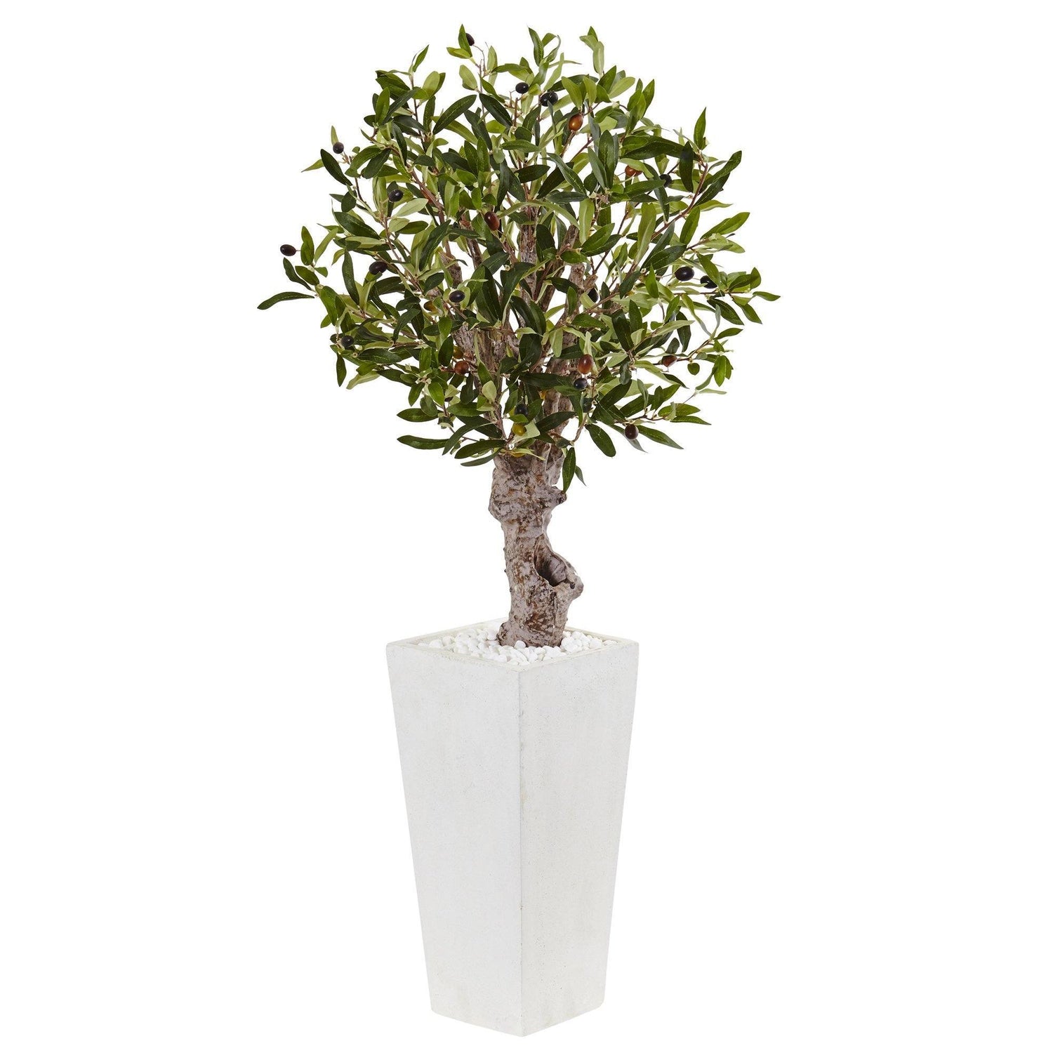 3.5’ Olive Tree in White Tower Planter