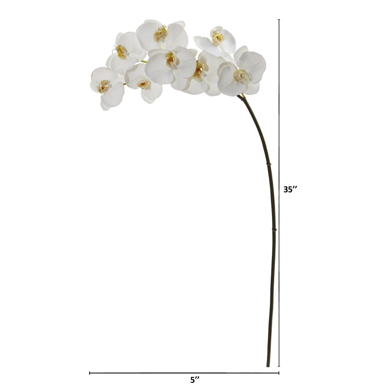 35” Phalaenopsis Orchid Artificial Flower (Set of 6)