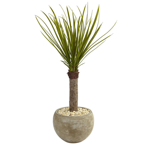3.5’ Yucca Tree in Sand Colored Bowl