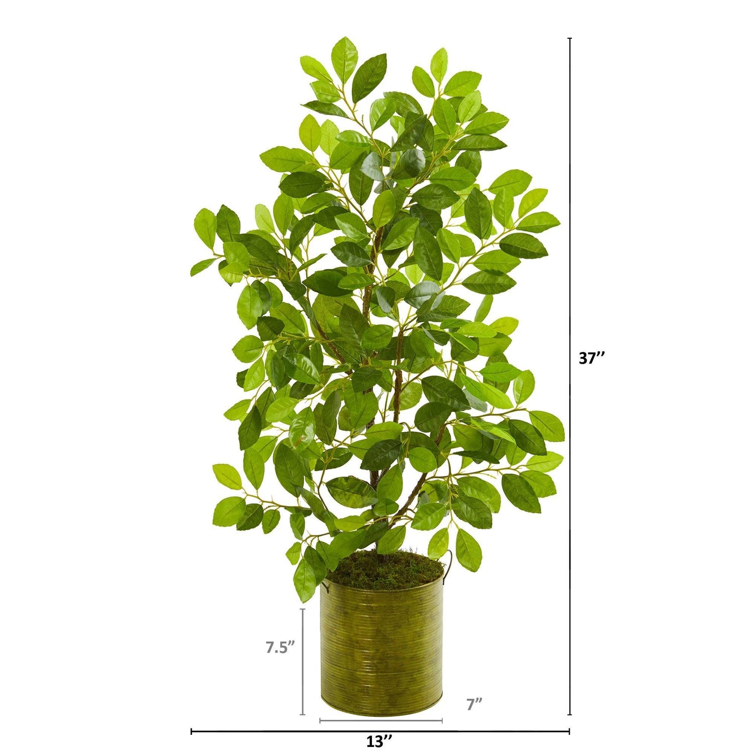 37” Mini Ficus Artificial Tree in Green Planter