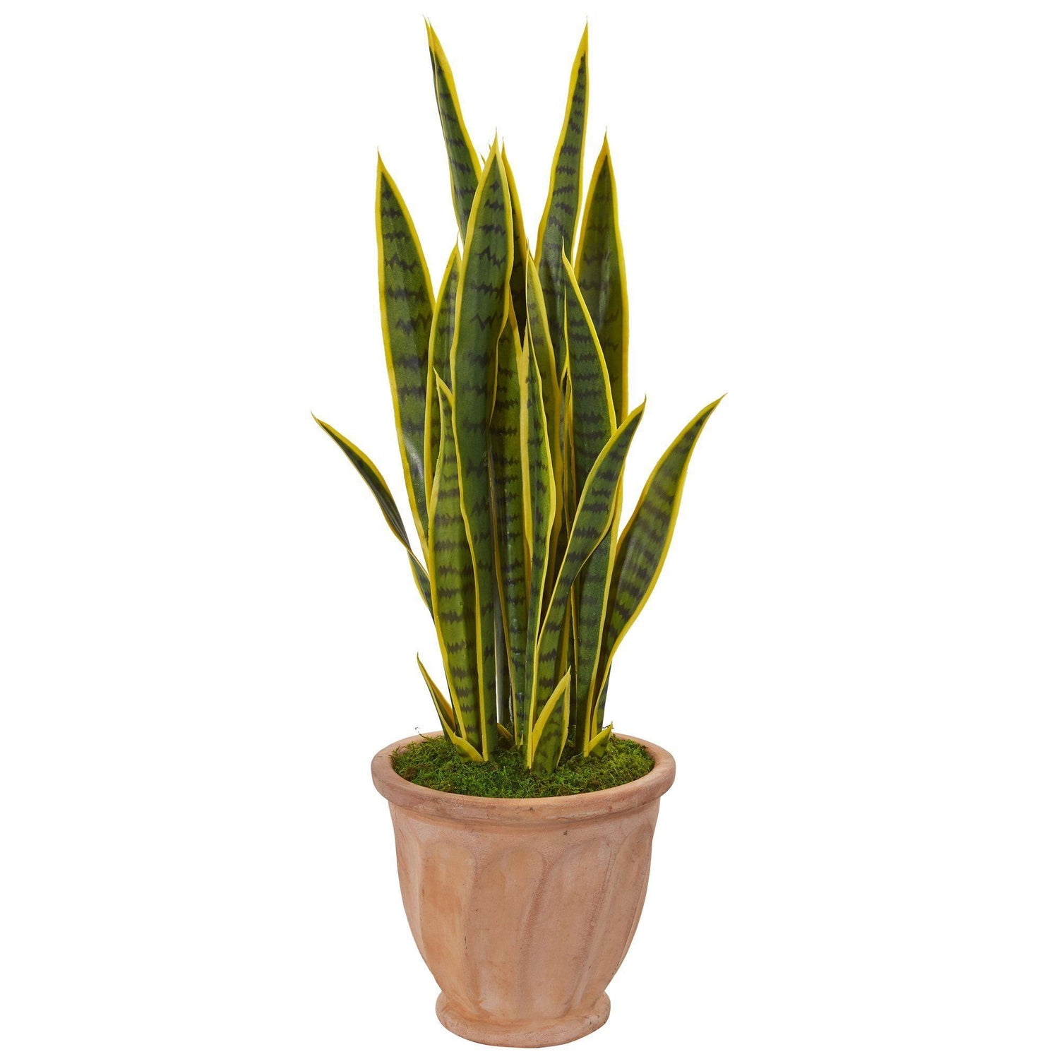 37” Sansevieria Artificial Plant in Terra Cotta Planter