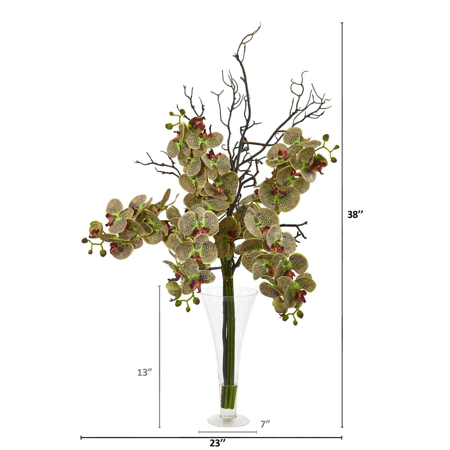 38” Elegant Phalaenopsis Orchid Arrangement in Flared Vase