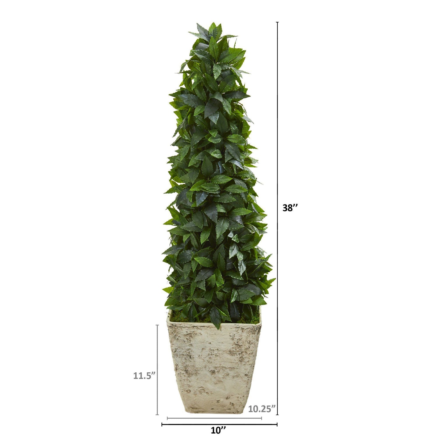 38” Sweet Bay Cone Topiary Artificial Tree in Country White Planter