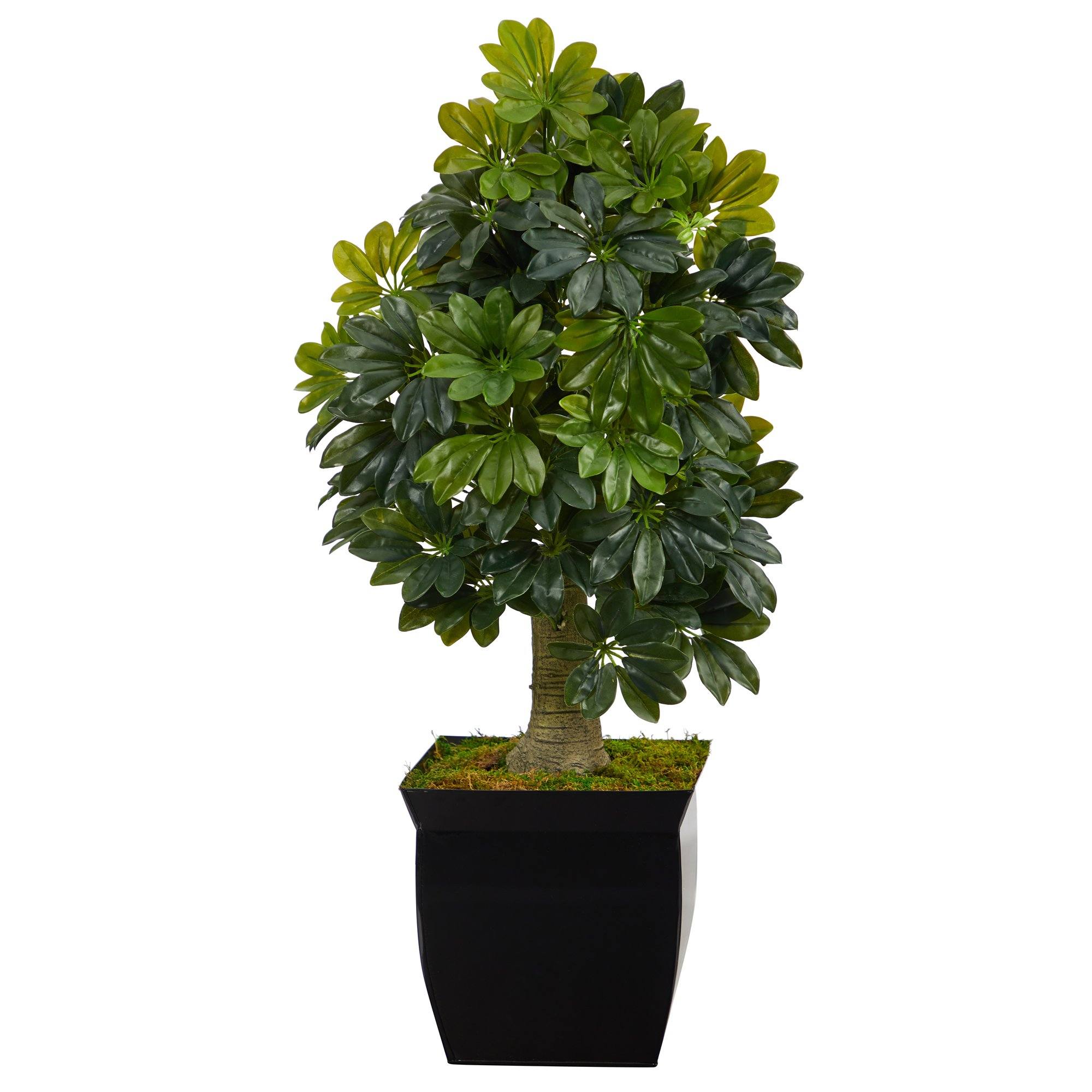 arboricola schefflera ' 39” Schefflera Artificial Tree in Black Metal Planter (Real Touch)