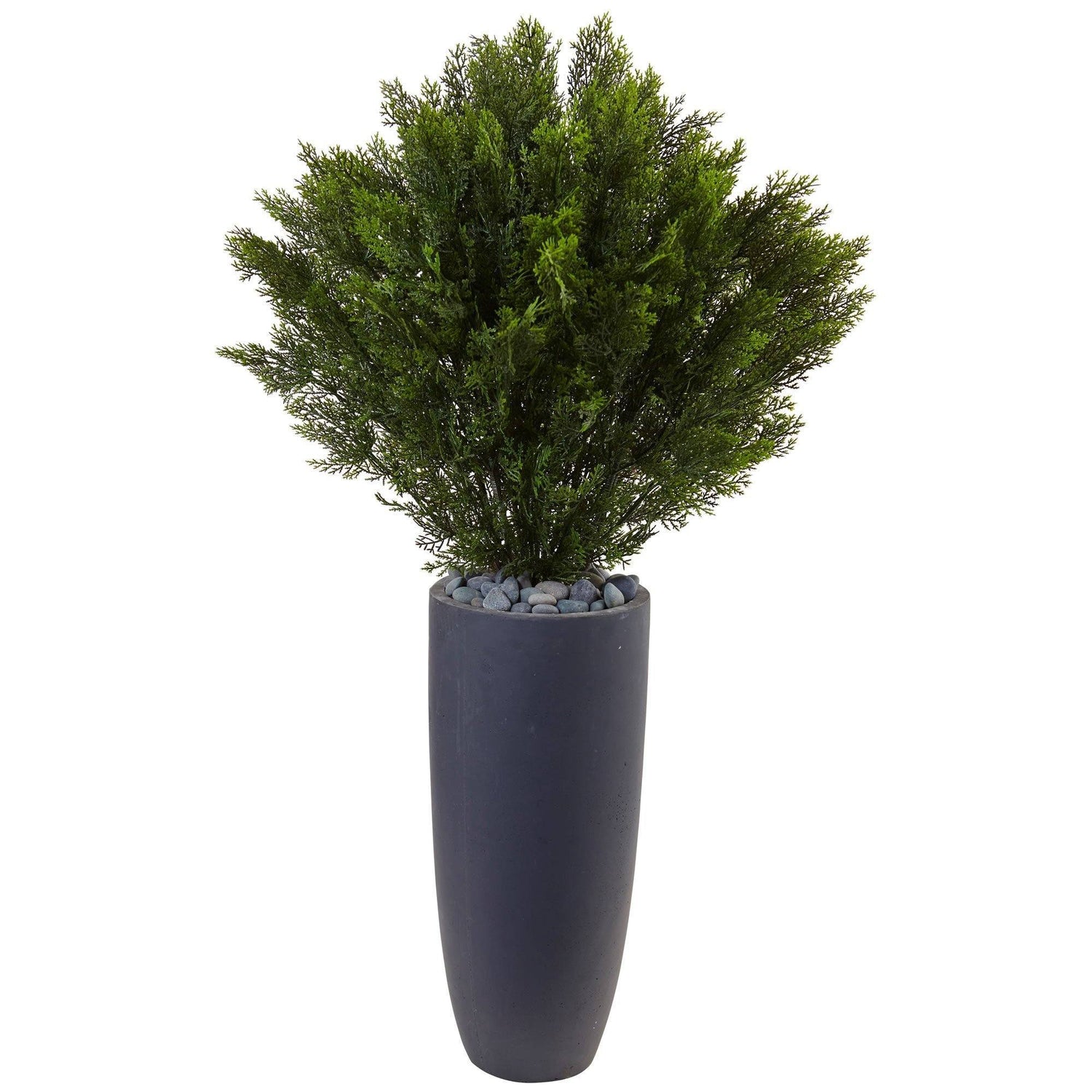 4’ Cedar in Cylinder Planter (Indoor/Outdoor)