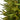 Artificial Christmas Tree