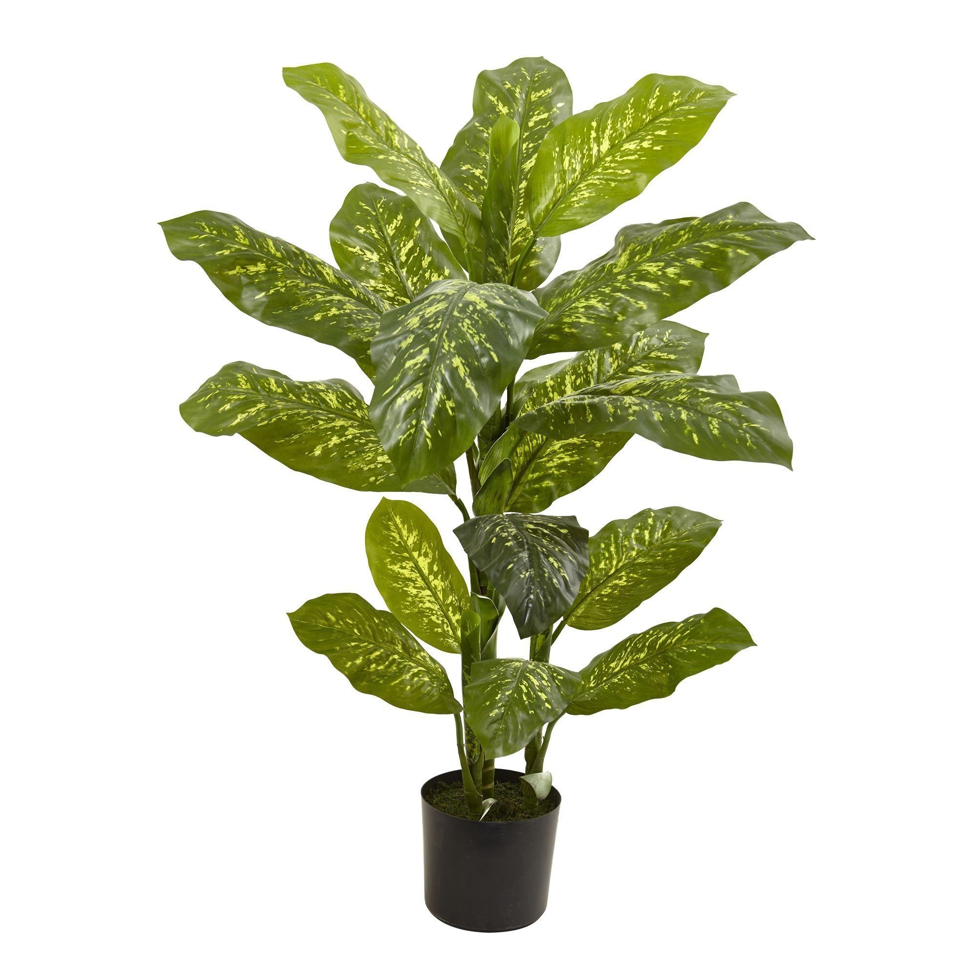 buy dieffenbachia plant Nearly Natural 4-ft Dieffenbachia Plant (Real Touch)