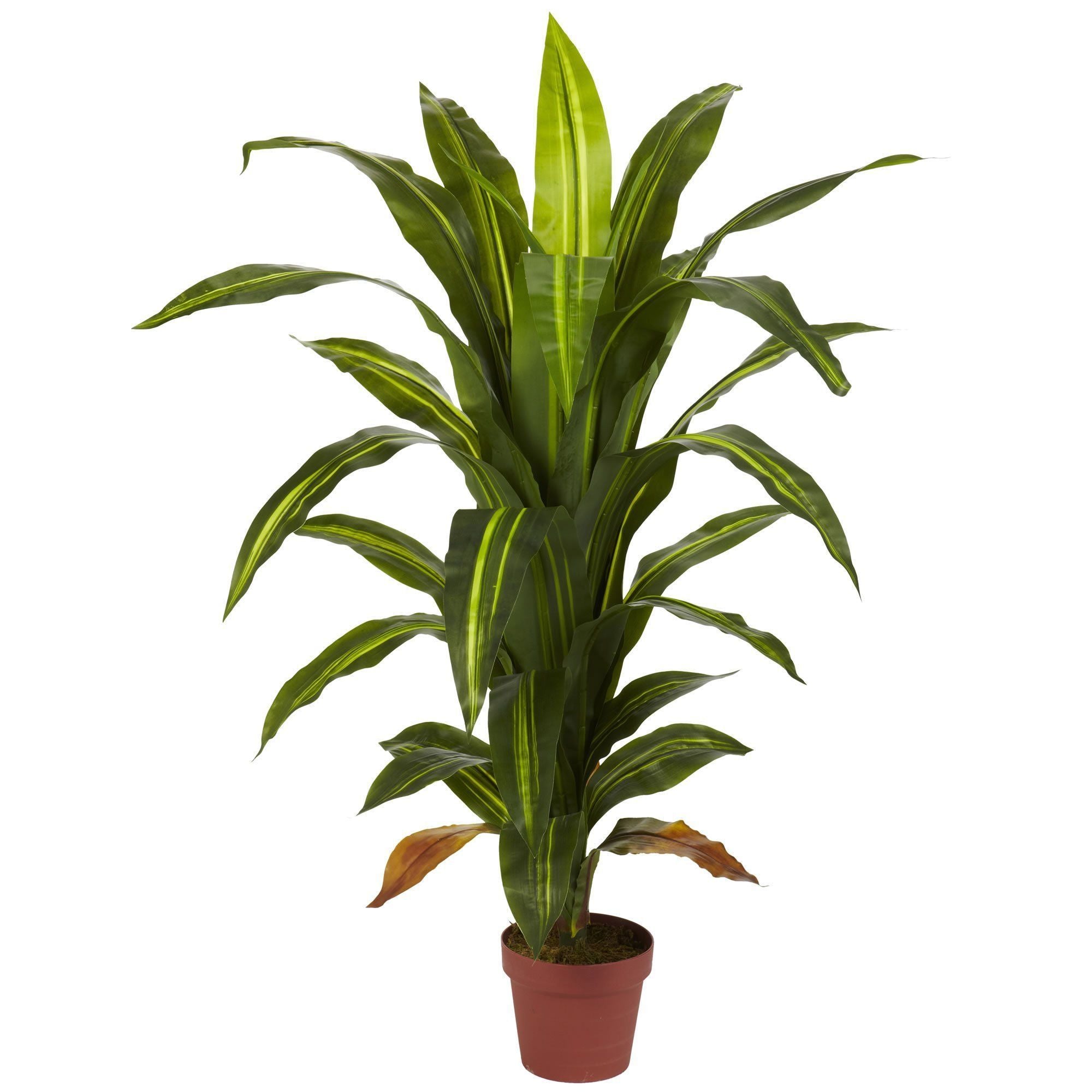 Nearly Natural 6456 Real Touch 4 ft. Indoor Dracaena Artificial Plant in Sand Planter