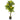 4' Plumeria Artificial Tree UV Resistant (Indoor/Outdoor)