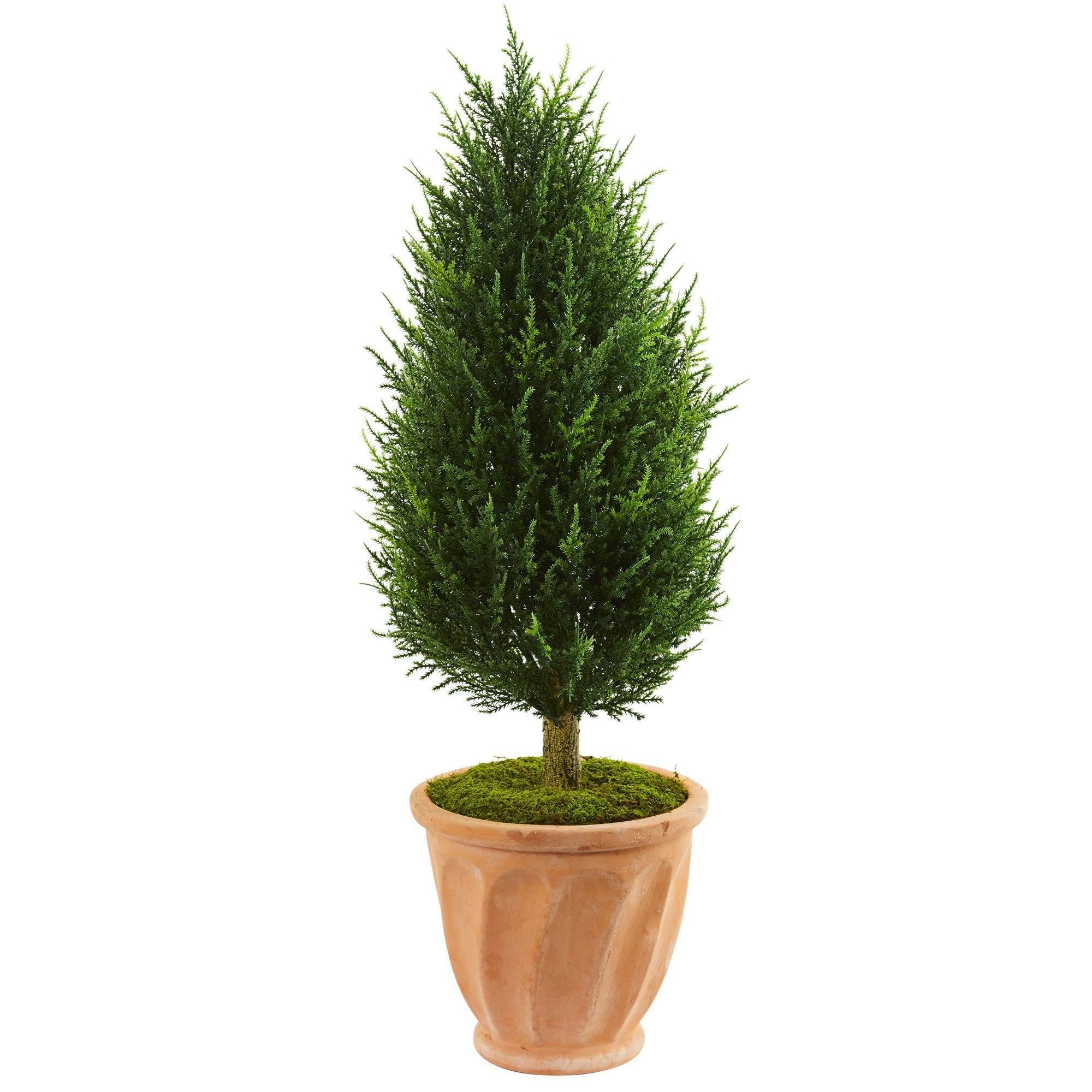 planting cypress trees in pots 40” Cypress Artificial Tree in Terracotta Planter UV Resistant (Indoor/Outdoor)