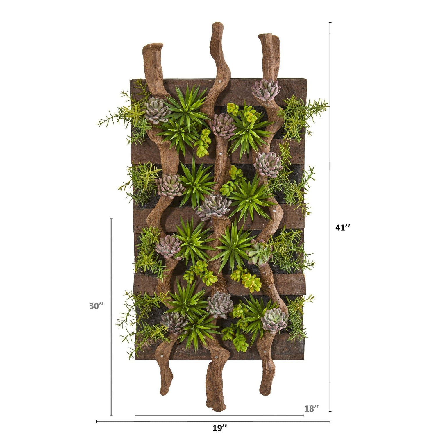 41” x 19” Mixed Succulent Artificial Living Wall