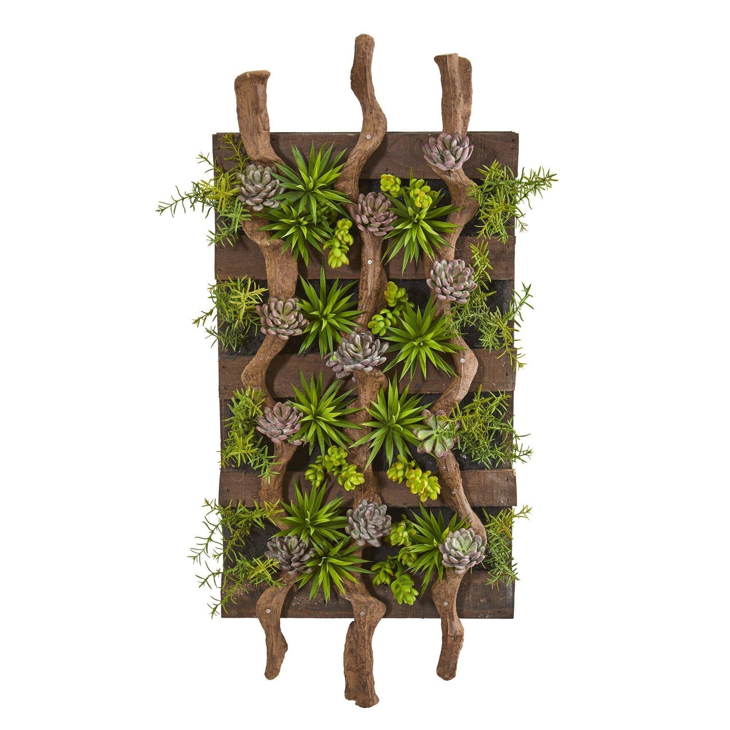 41” x 19” Mixed Succulent Artificial Living Wall