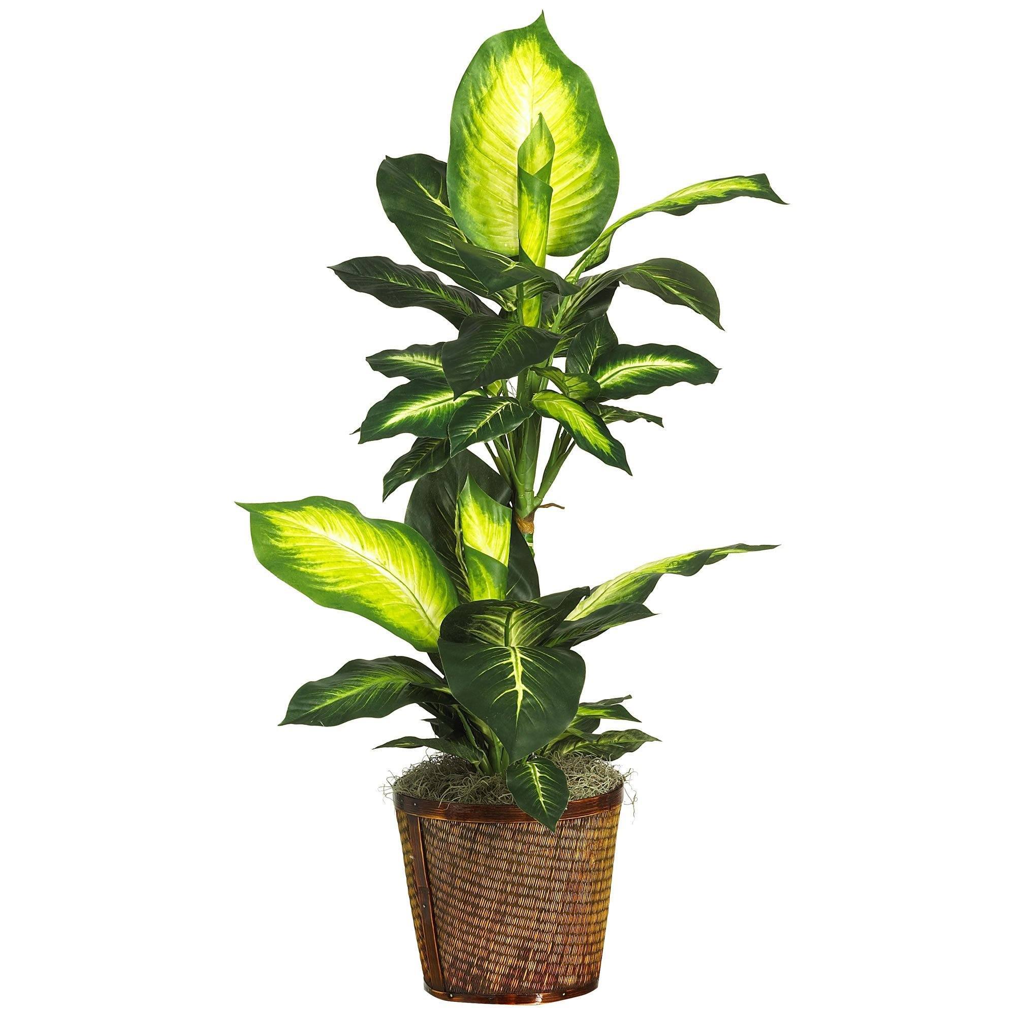 silk dieffenbachia Nearly Natural 42" Golden Dieffenbachia w/Basket Silk Plant