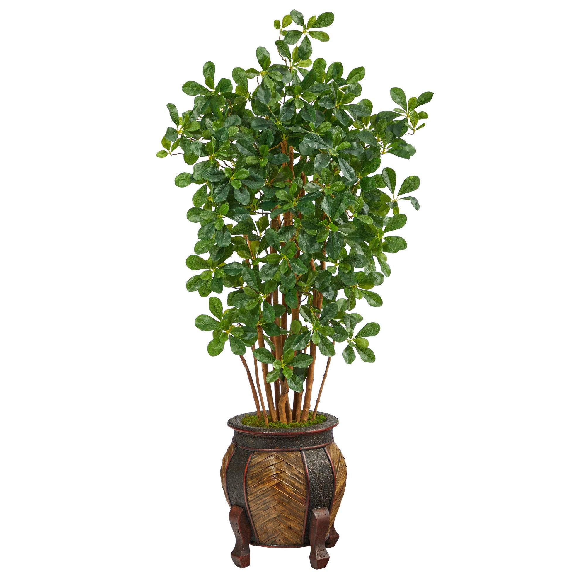 black olive indoor plant 4.5' Black Olive Artificial Tree in Decorative Planter