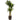 4.5’ Cornstalk Dracaena Tree with Decorative Vase (Real Touch)