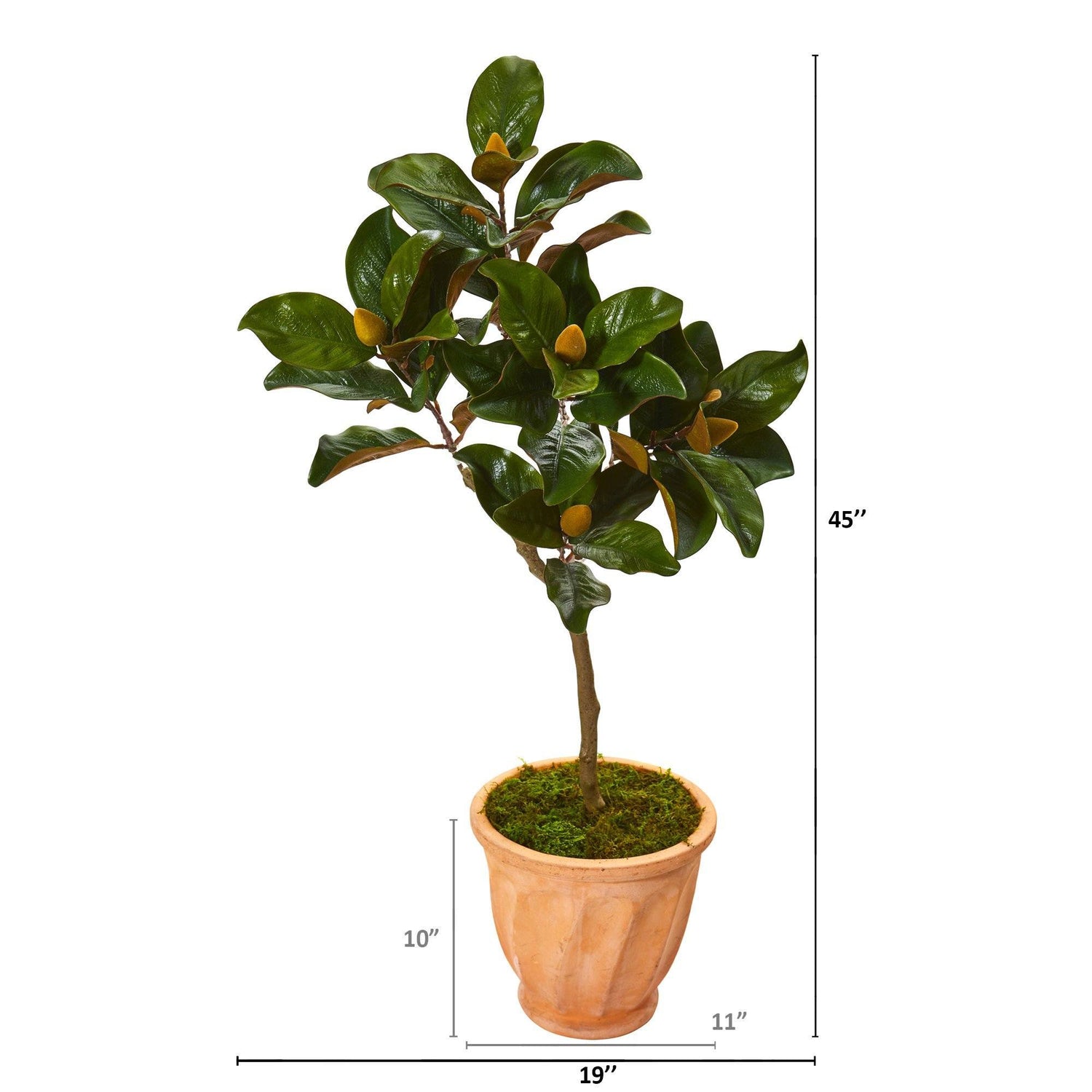 45” Magnolia Leaf Artificial Tree in Terra-cotta Planter