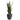 4.5’ Sansevieria Artificial Plant in Black Planter