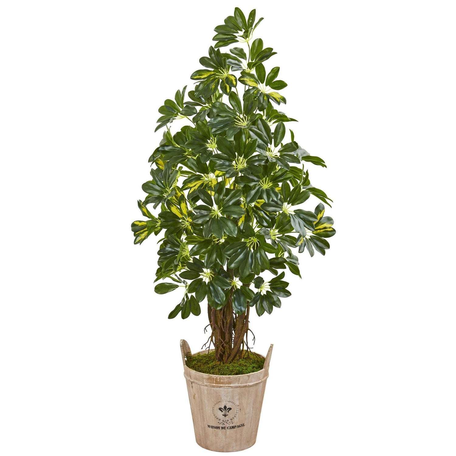 4.5’ Schefflera Artificial Tree in Farmhouse Planter