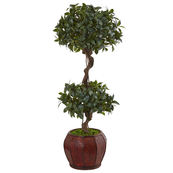 4.5’ Sweet Bay Double Topiary Tree in Round Wood Planter