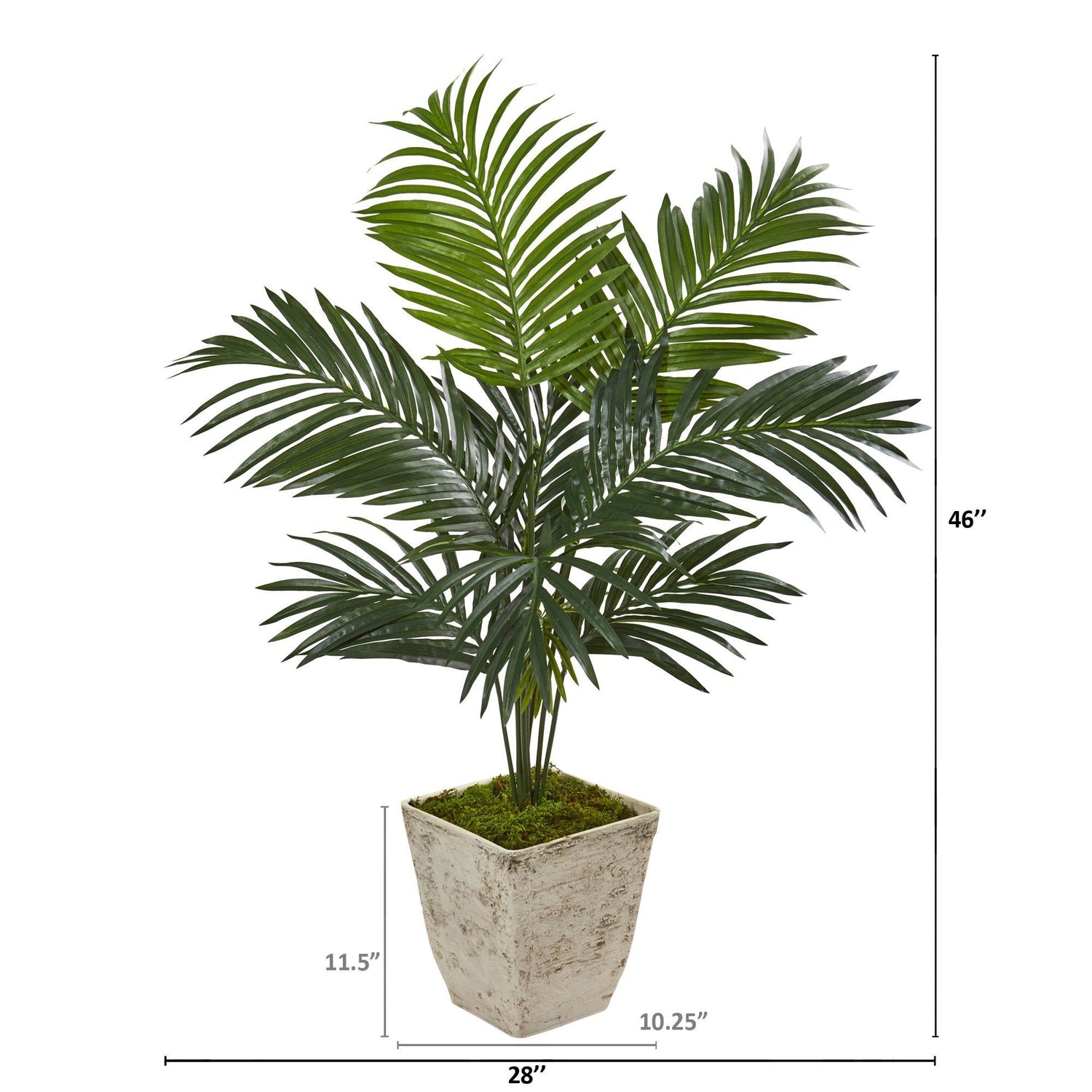 46” Kentia Artificial Palm Tree in Country White Planter