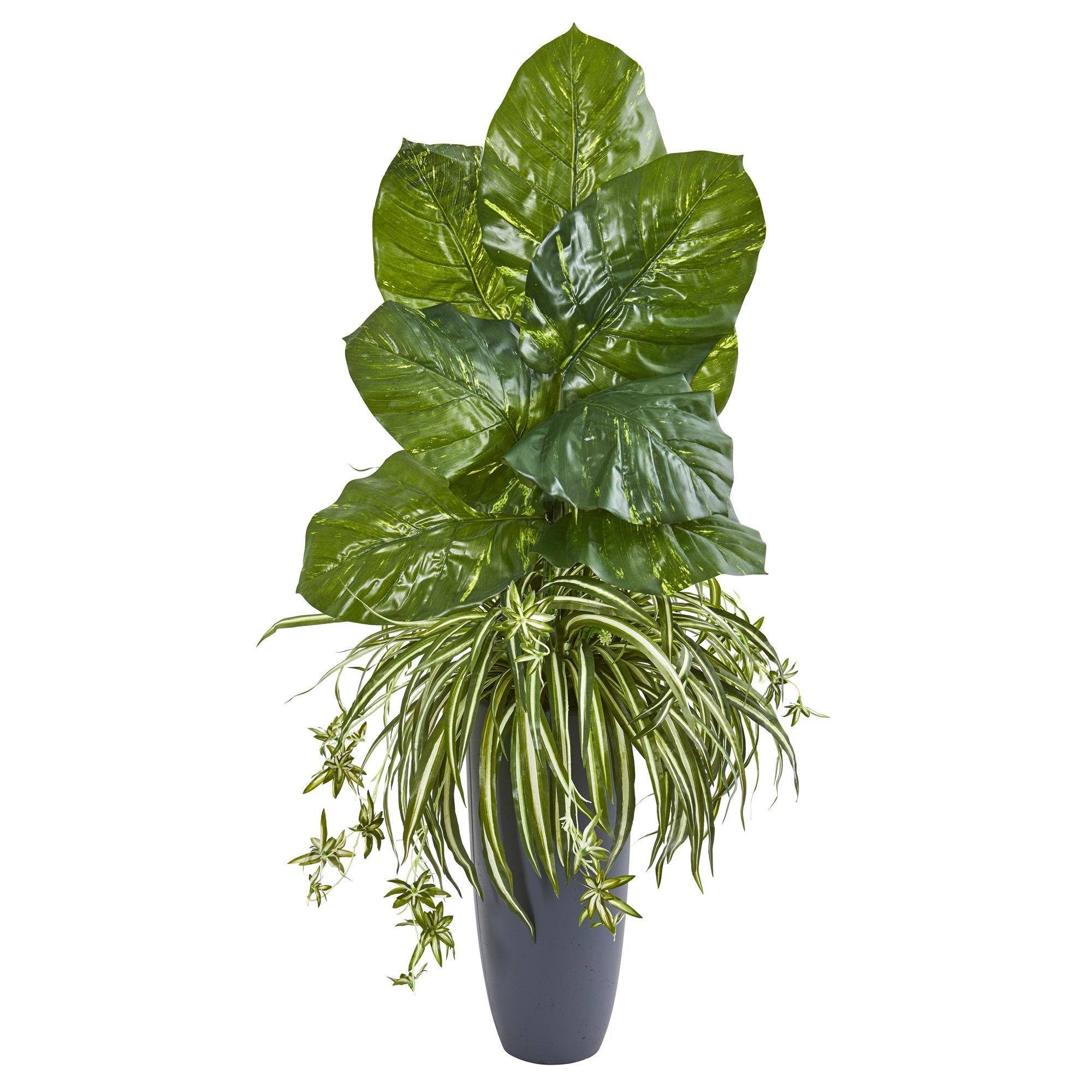pothos and spider plant in same pot 49” Spider and Pothos Artificial Plant in Gray Planter