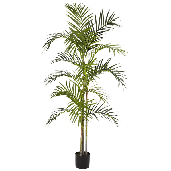 5' Areca Palm Silk Tree