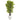 5’ Bamboo Artificial Tree with Black Trunks in White Planter (Indoor/Outdoo)