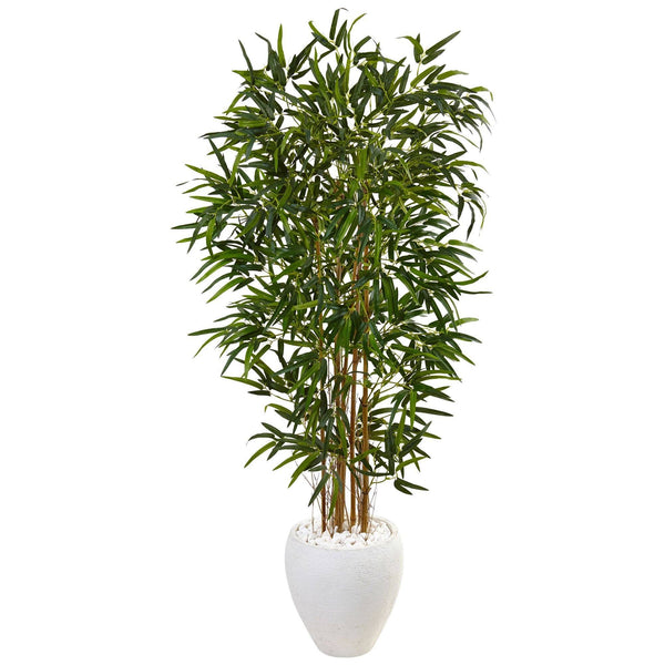 5’ Bamboo Tree in Oval White Planter