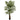 5’' Big Palm Tree