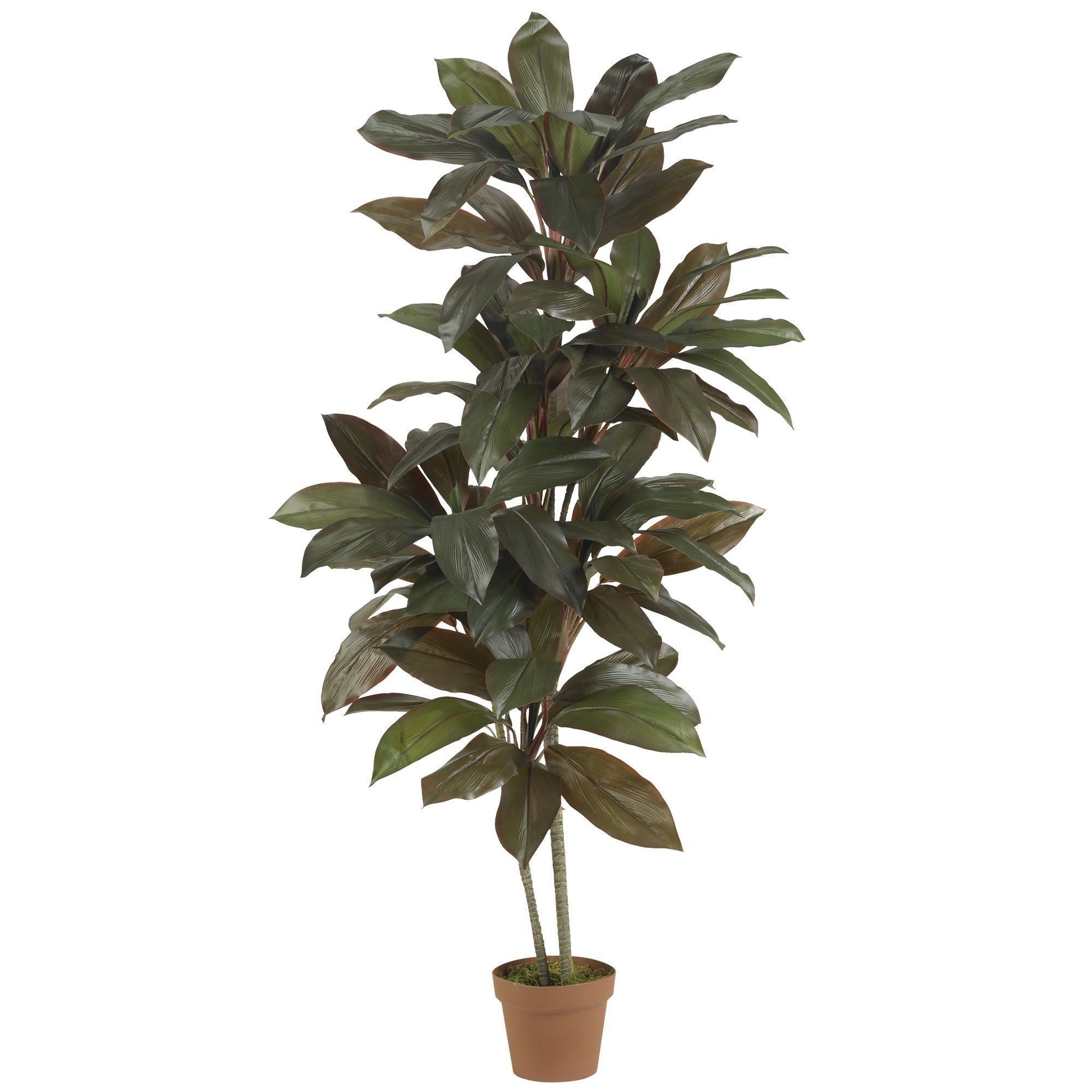 cordyline house plant Nearly Natural 5 ft. Cordyline Silk Plant Real Touch