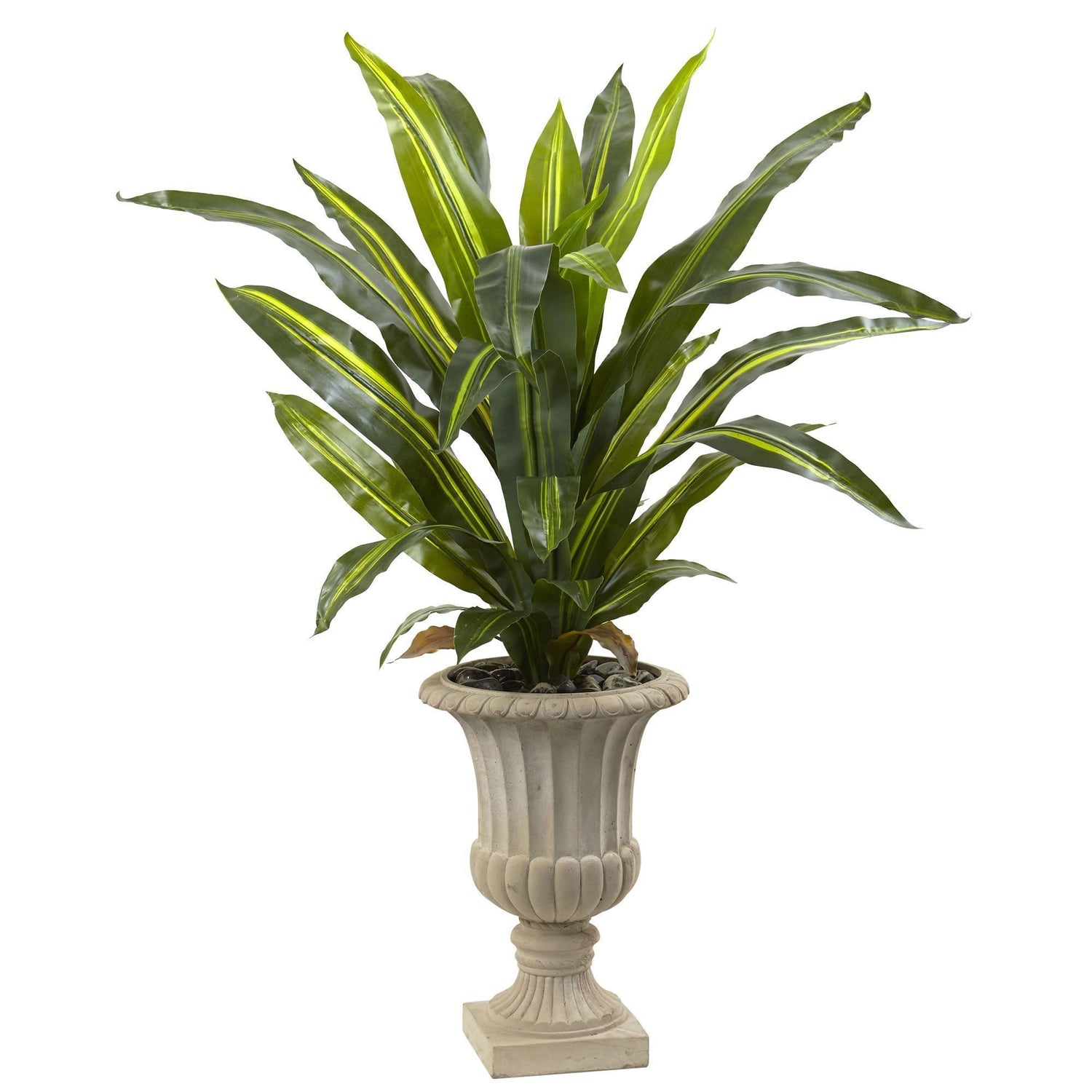 5’ Dracaena Plant with Urn (Real Touch)