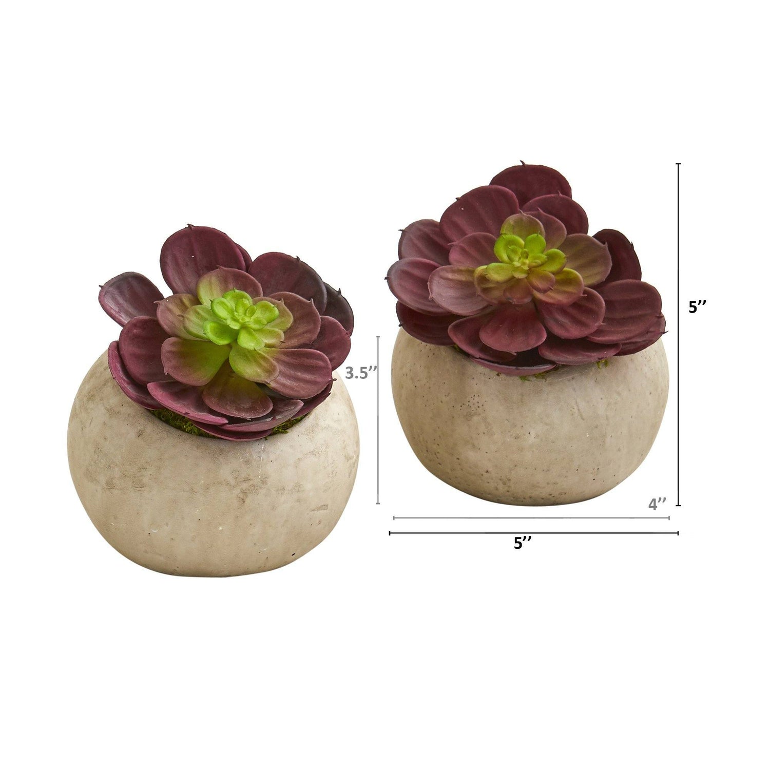 5” Echeveria Succulent Artificial Plant in Gray Planter (Set of 2)