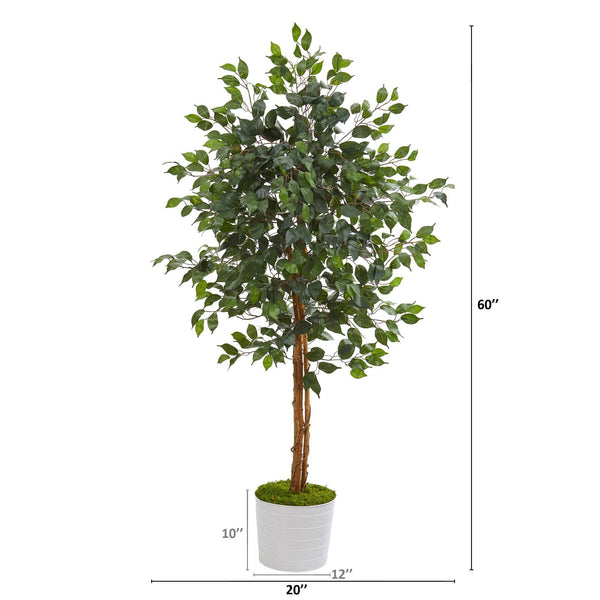 5’ Ficus Artificial Tree in White Tin Planter