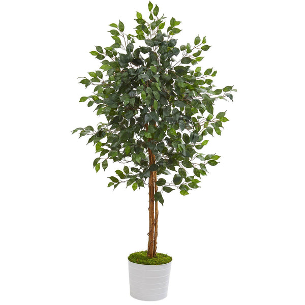 5’ Ficus Artificial Tree in White Tin Planter