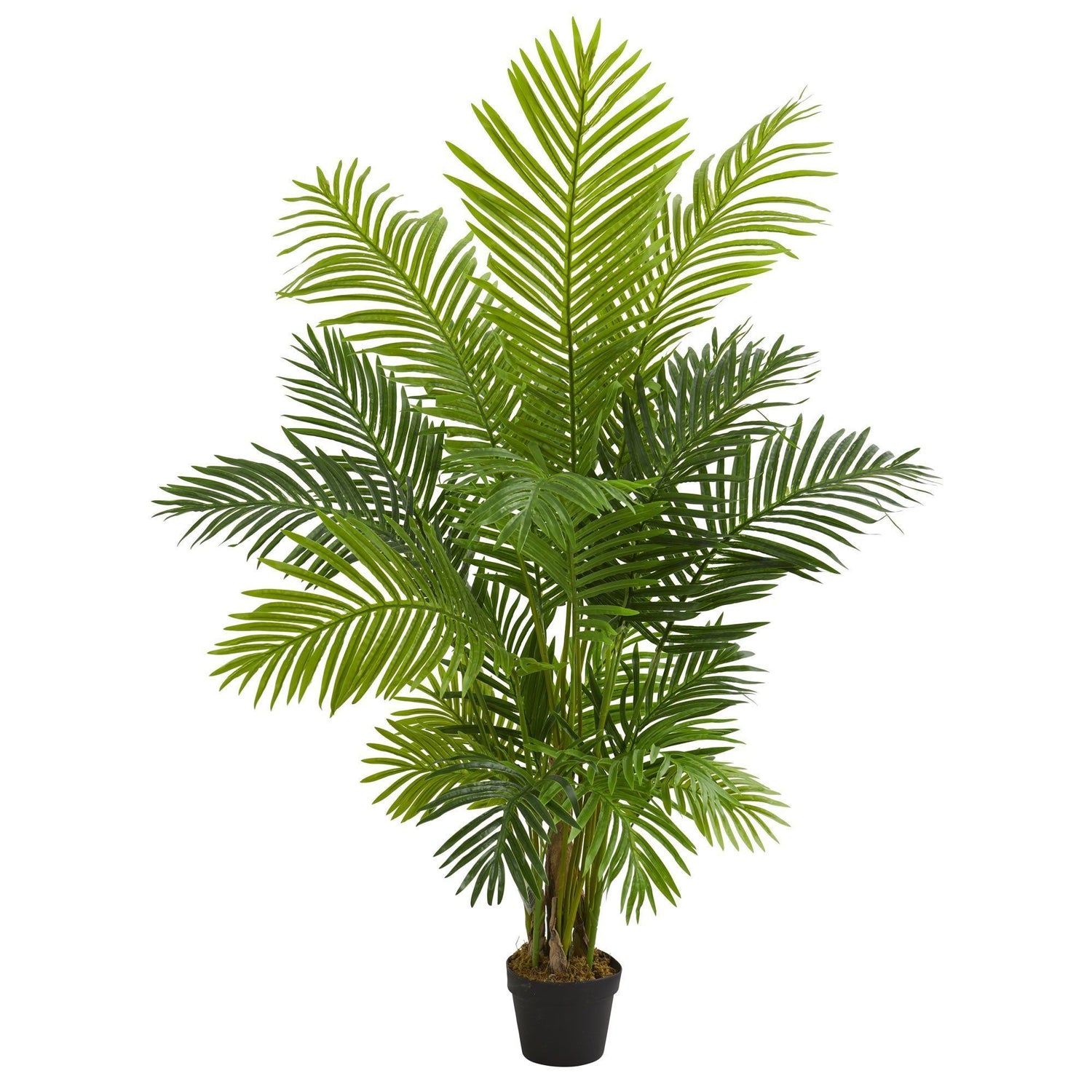 5’ Hawaii Palm Artificial Tree