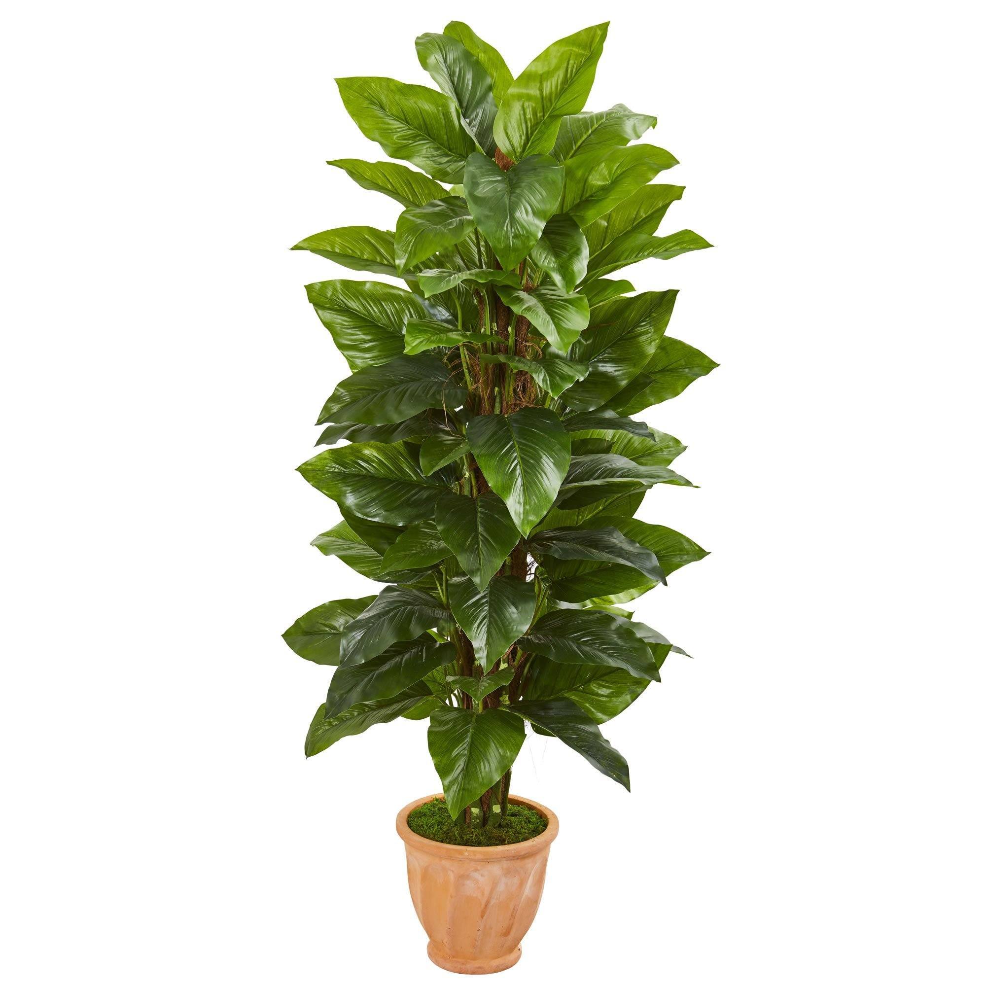 5’ Large Leaf Philodendron Artificial Plant in Terra Cotta Planter (Real  Touch)
