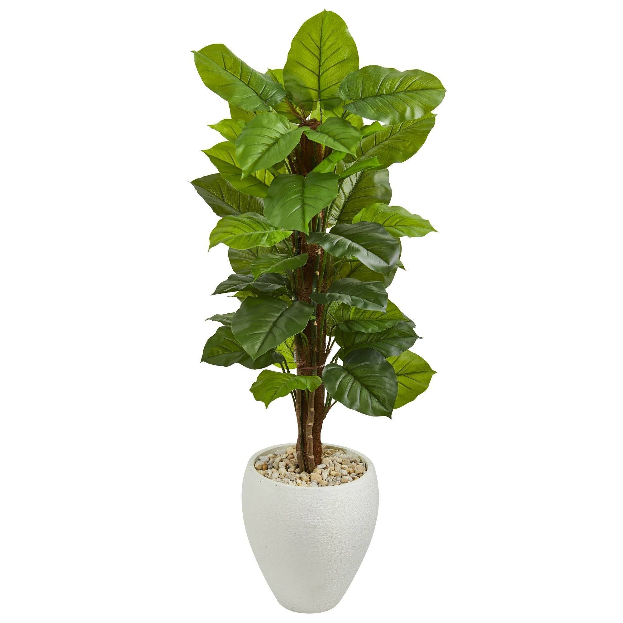 faux philodendron plant Nearly Natural 5ft. Large Leaf Philodendron Artificial Plant in White Oval Planter (Real Touch)